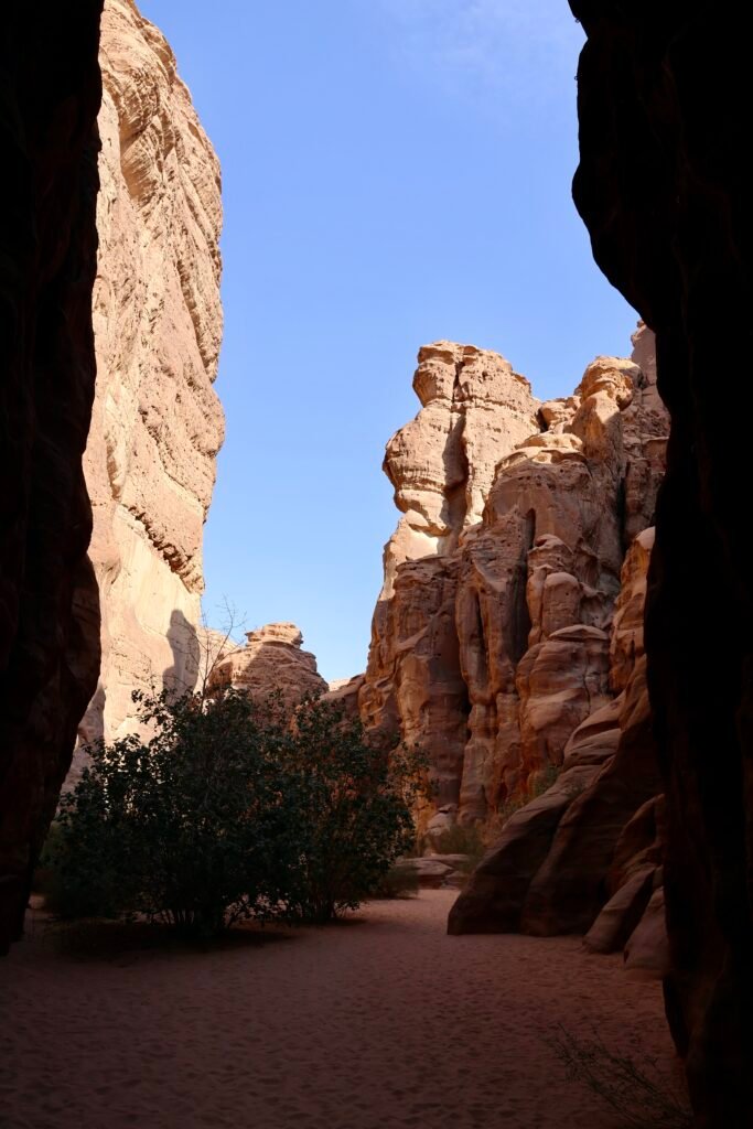 saoedi arabië 2025 11 05 (195)